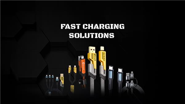 Fast Charging